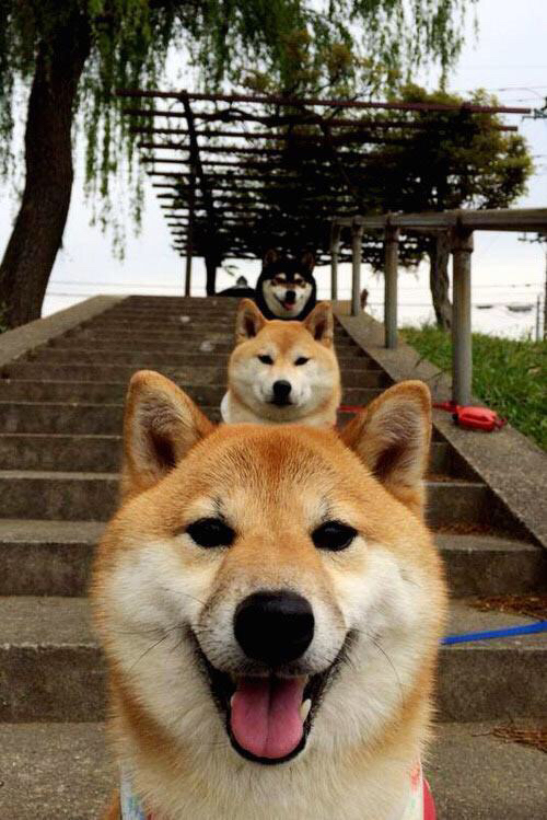 爱游戏官方网站-_国际极限运动节：勇者的狂欢盛宴_，极限勇士国际对抗赛中国夺冠