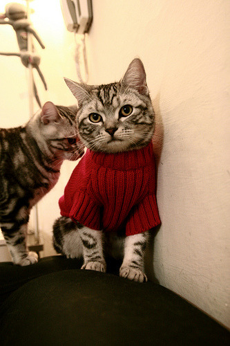 国米锋线火爆，比赛中屡次破门，国米锋线火爆,比赛中屡次破门的球员