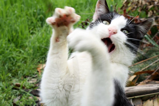 品牌战略布局电竞：多角度、多渠道带来新转机，2019电竞营销品牌研究报告