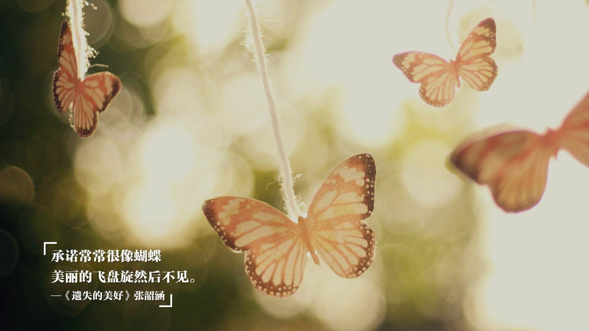 爱游戏体育官方网站-威金斯连续砍30+，勇士新进攻体系初见成效，威金斯勇士定妆照