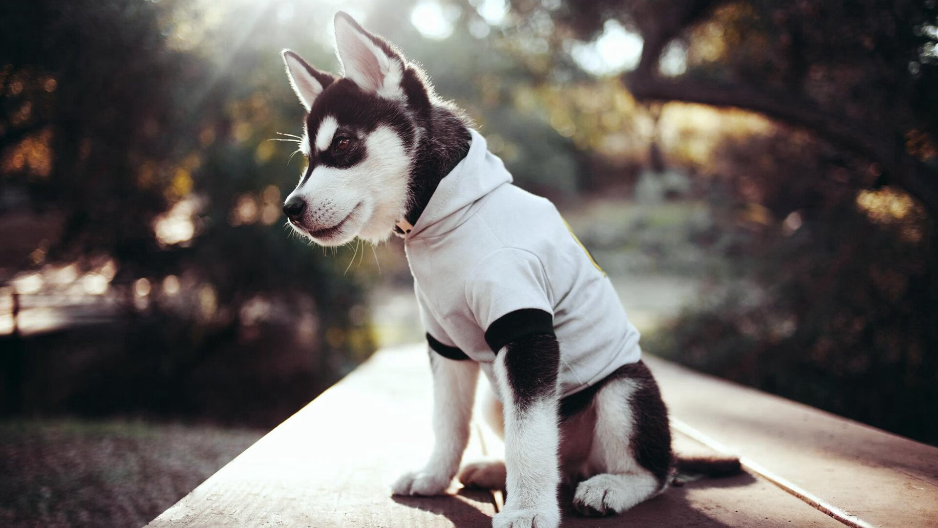 AYX体育官网-尤文图斯在意甲联赛中排名第四，成功晋级欧冠。，意甲尤文图斯队员名单