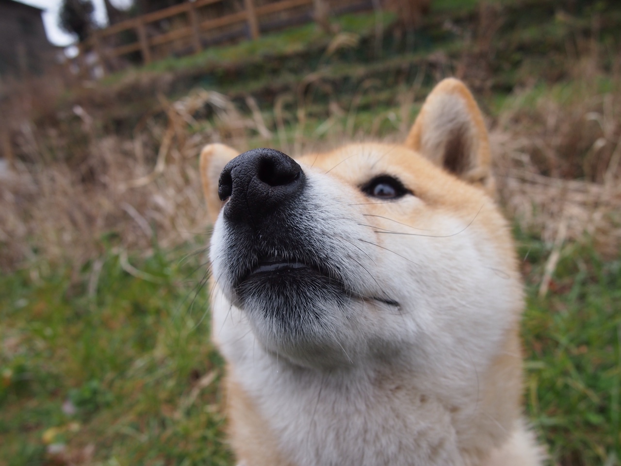 广州篮球联赛助力区域经济发展，打造体育新名片，广州市篮球锦标赛