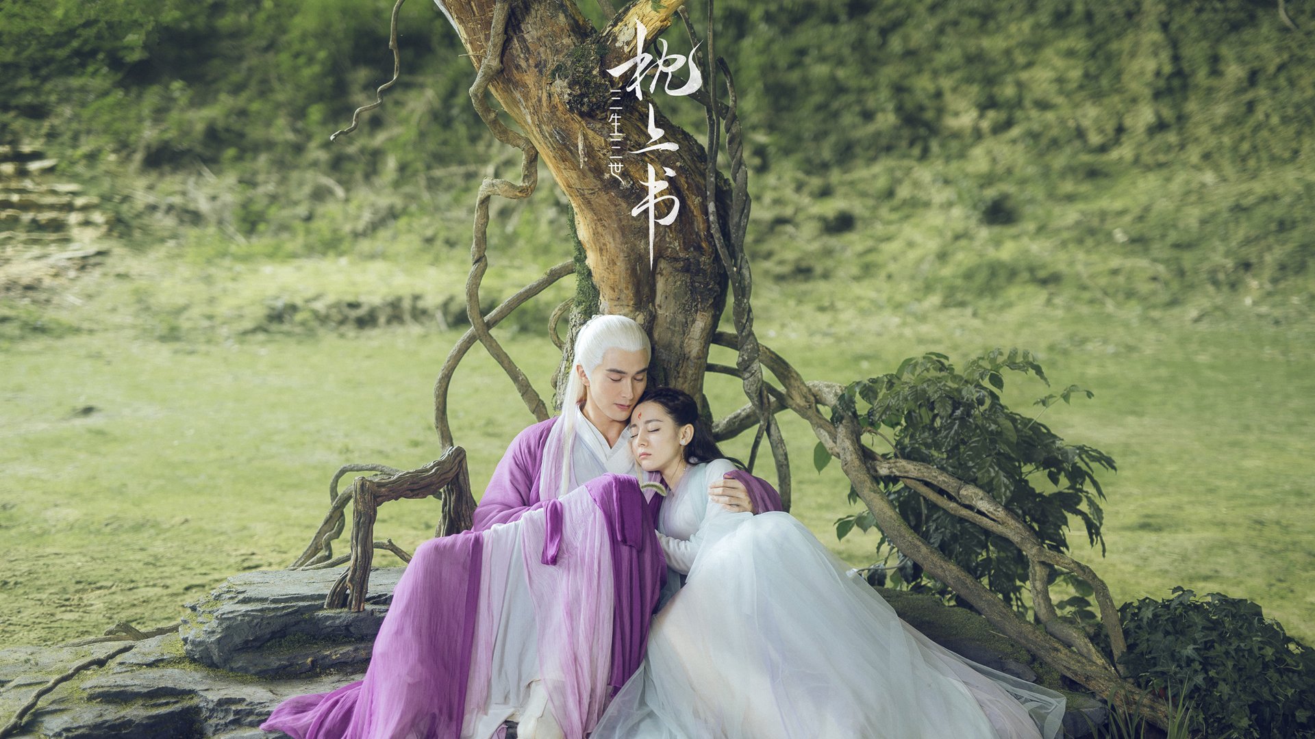 影响深远:明星公益行动引领社会正能量,明星公益活动策划方案怎么写