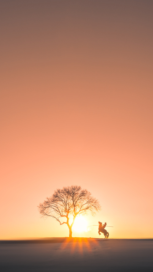 德甲“黑马”逆袭之路，令人惊叹，德甲打法