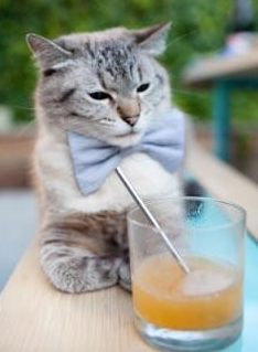 日本铁血防线,固若金汤!