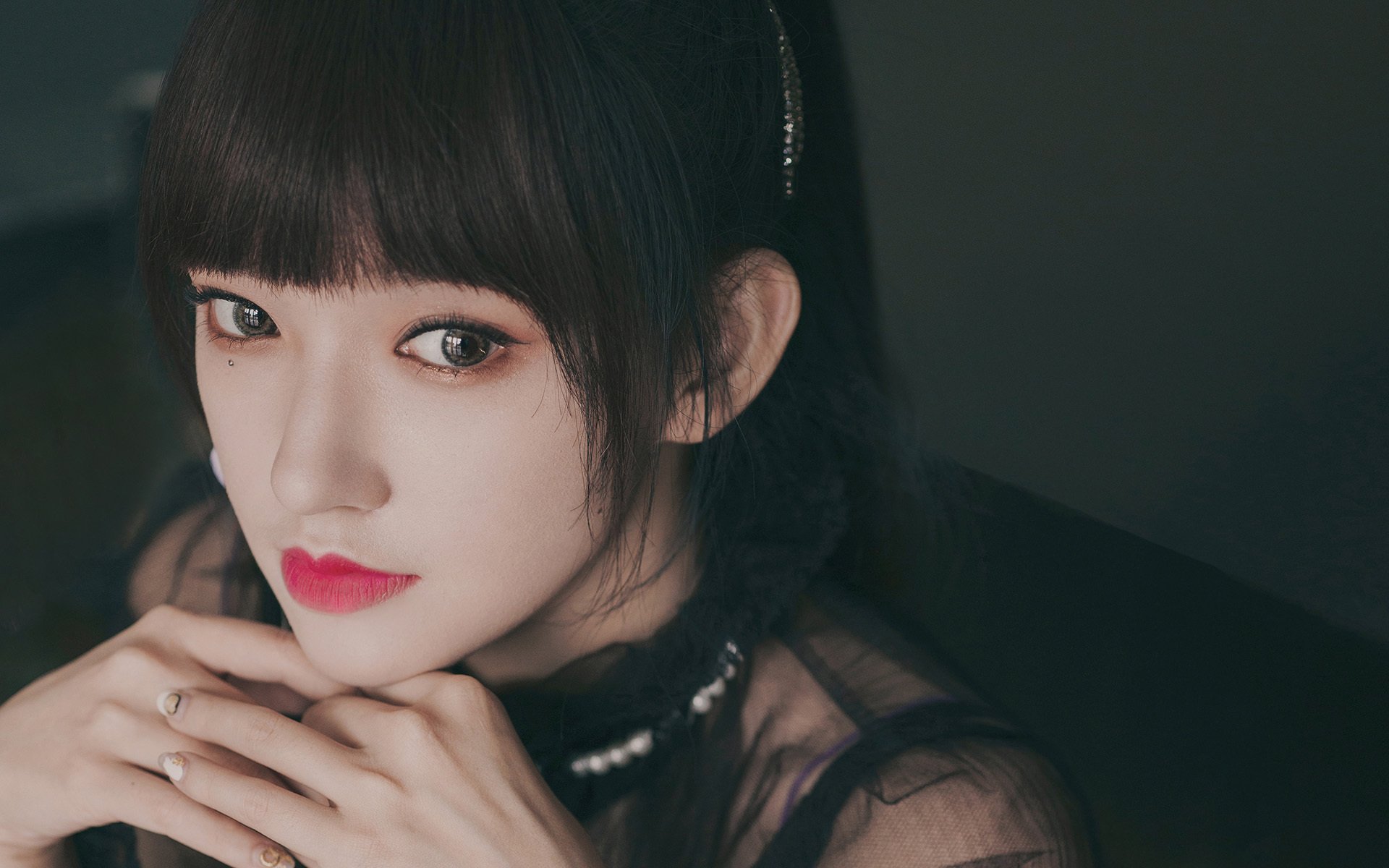 比利时马术协会推出马术运动员心理辅导项目，提升竞技表现。，比利时马犬介绍资料