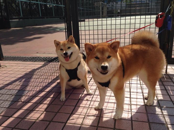 爱游戏电竞官网-法国锋线三战0球，进攻端哑火，法国前锋线