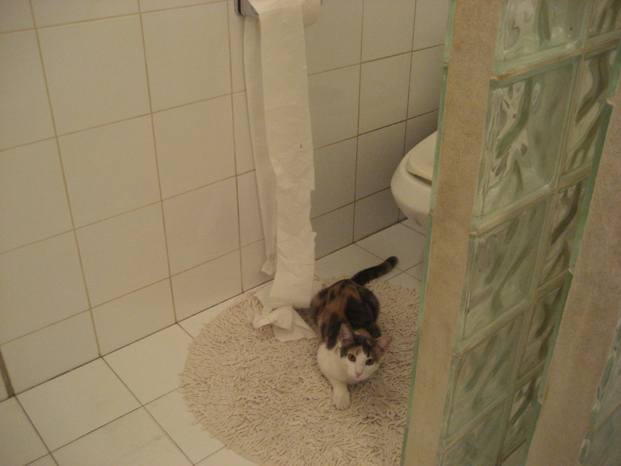 游戏引擎技术在电竞领域的创新：画面升级与玩法多样，游戏引擎是啥意思