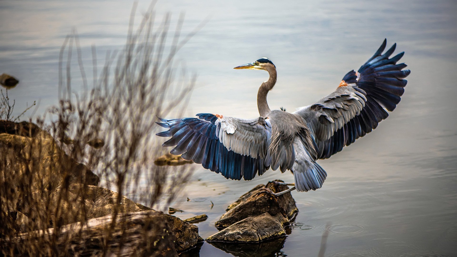 英超36轮总结,谁将夺冠热门浮出水面?,英超38轮顺序