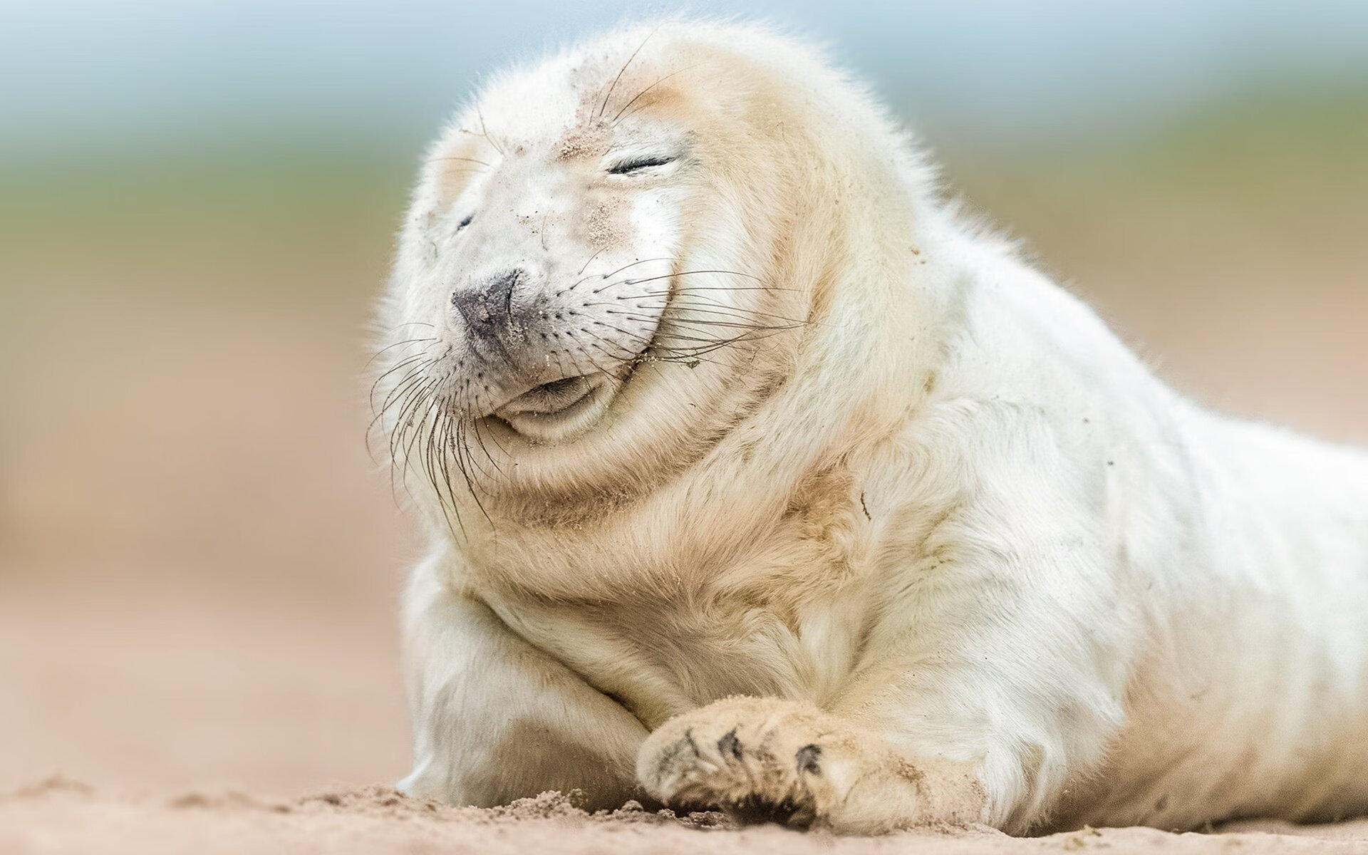 英格兰举办篮球文化交流活动，英格兰男子篮球队