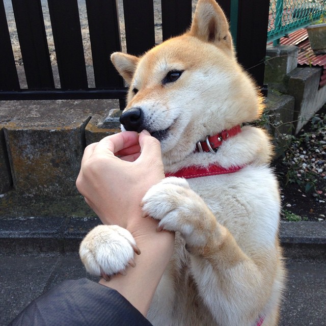 美国骑手凯尔·库克在巴黎奥运会上首次亮相即夺得障碍赛银牌,表现出色。