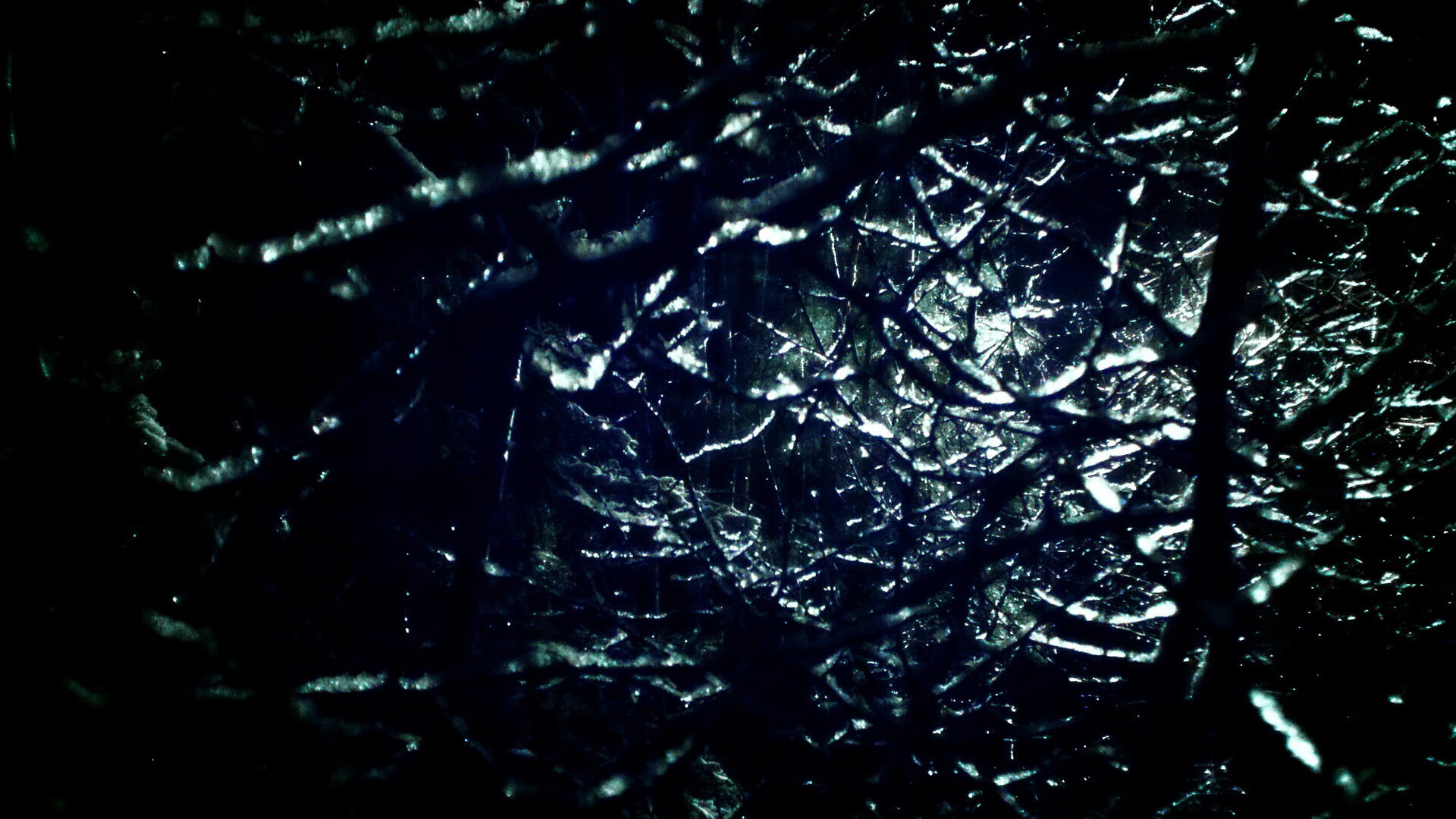 爱游戏-葡萄牙骑手吉尔贝托·费利佩在2024年全国工作马术锦标赛中以“Morante”马匹获得大师组铜牌，表现出色。