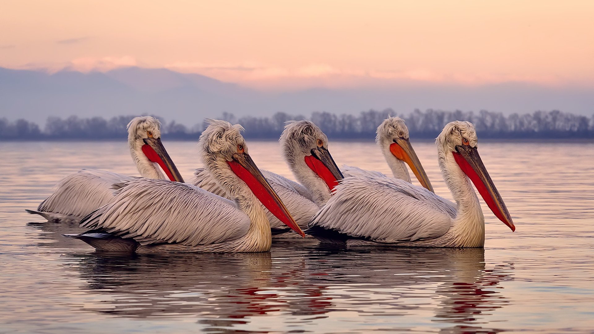 爱游戏平台-终极“绝杀”：“足球神兵”在欧冠的巅峰演出，足球神剧视频