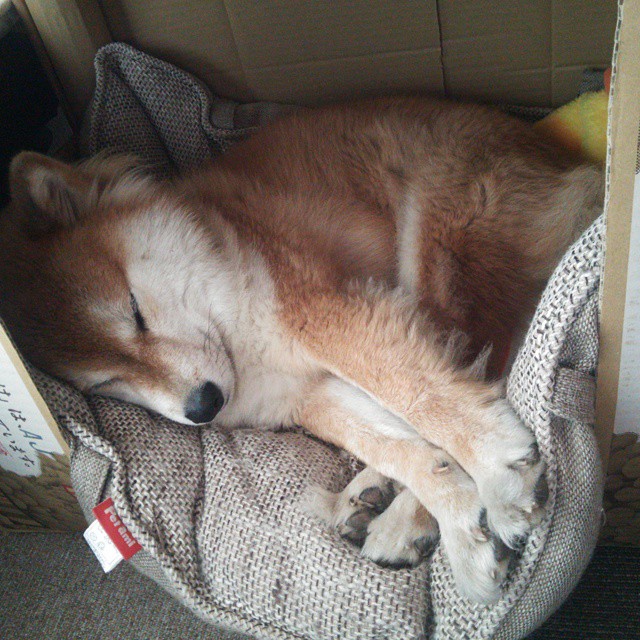 线上观赛新体验：多角度观战更精彩，线上观赛什么意思