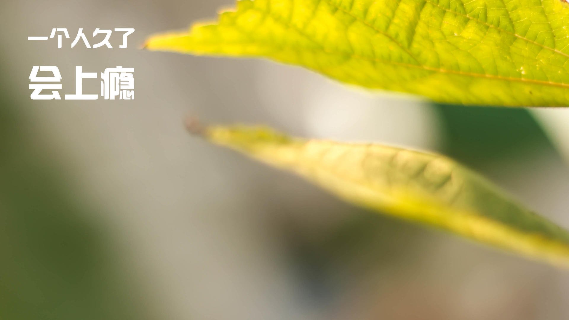 草根足球运动深度融入社会生活，成长为全民运动热点，开展足球运动的意义