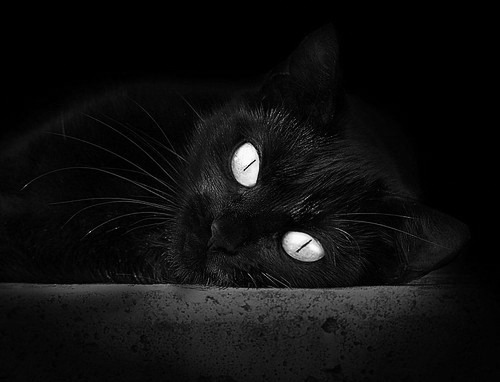 西甲战平,球员表达赛后感想,西甲揭幕战