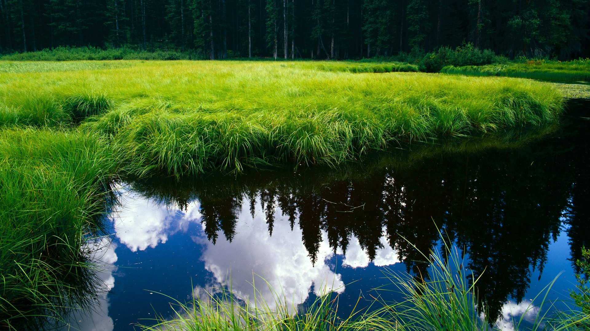 观众期待！新兴技术将在未来赛场亮相，2020新兴科技