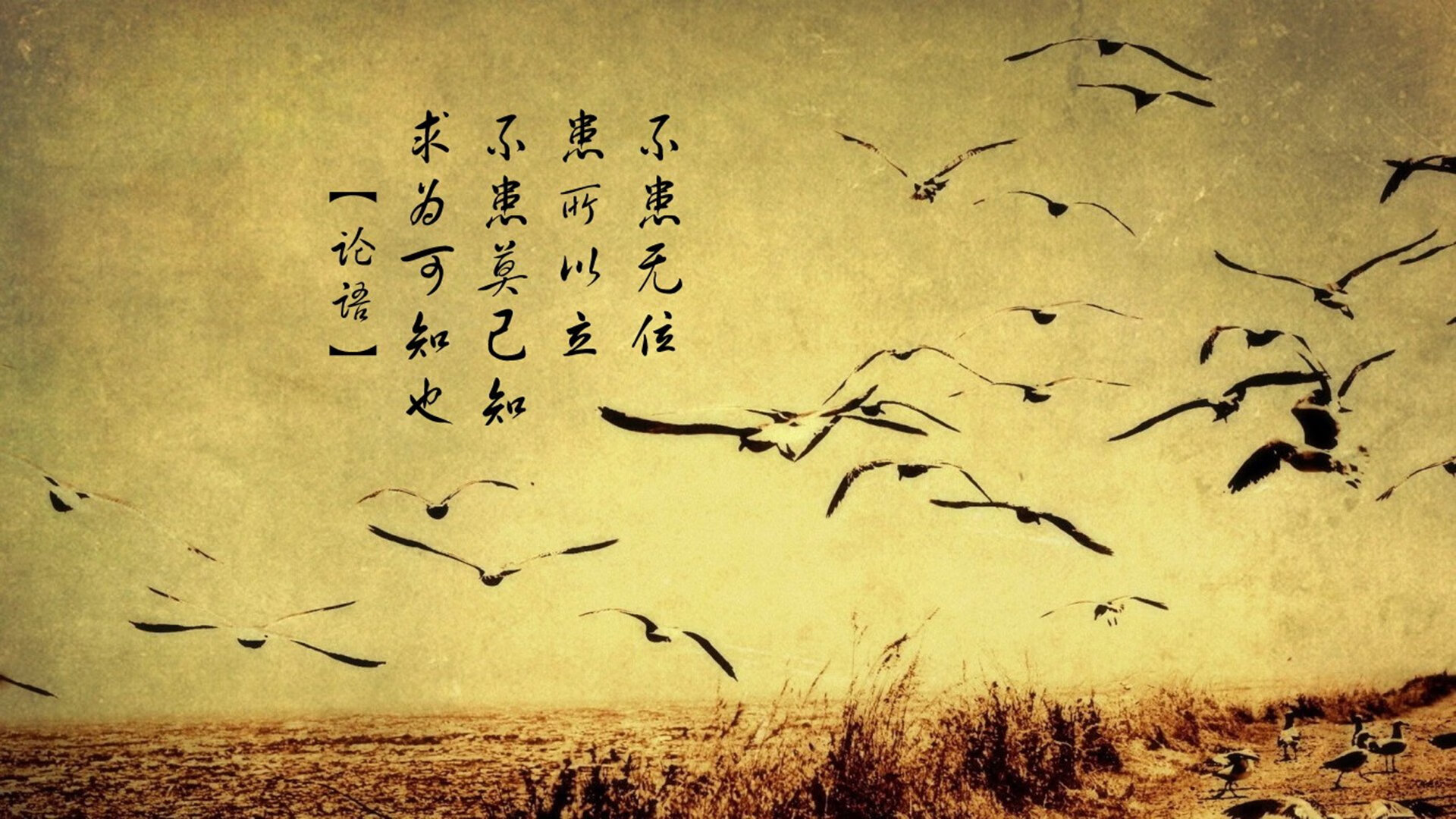 中国足球的青少年教练员培养机制，全国青少年校园足球教练员国家级专项培训课教案