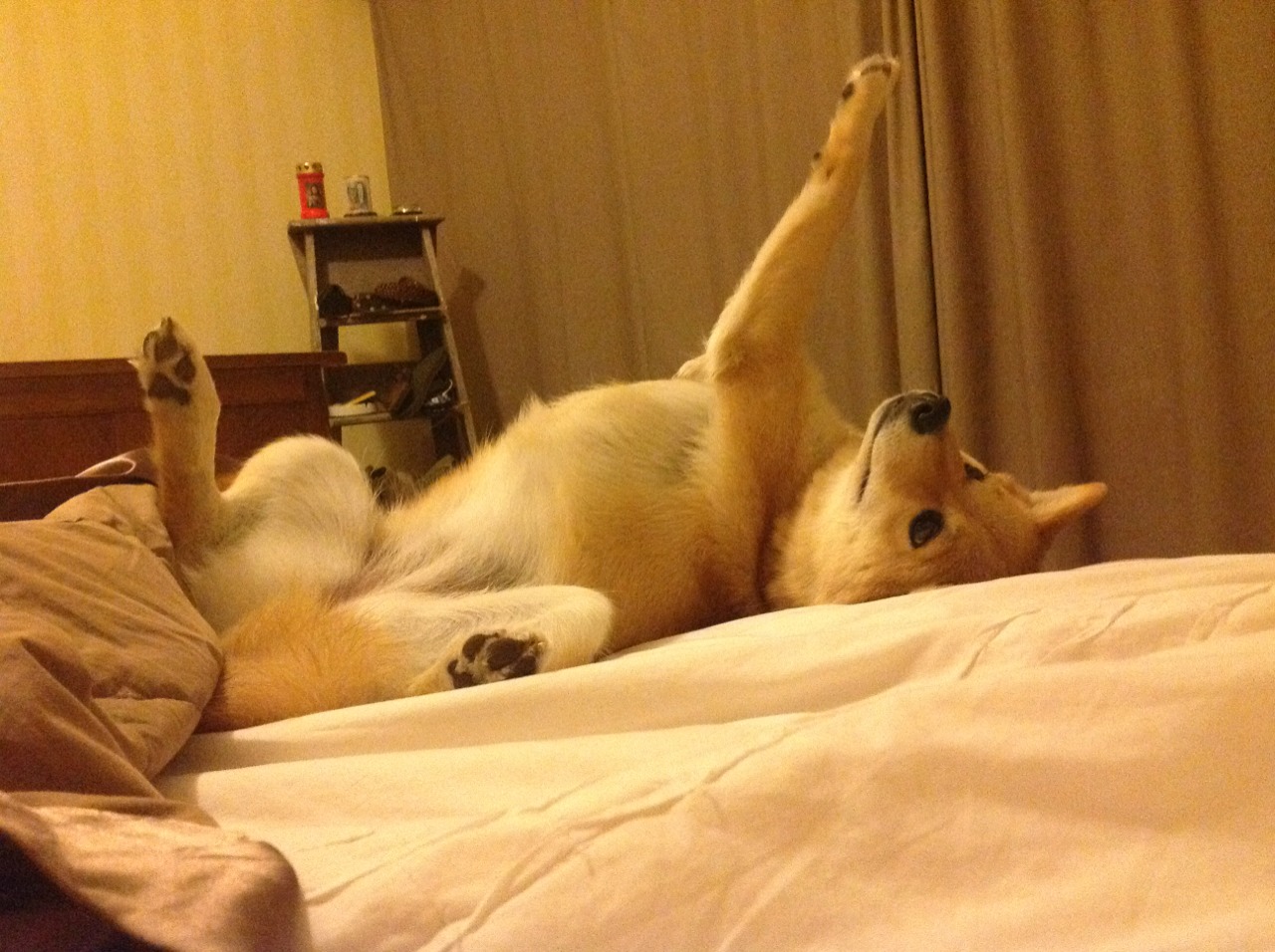 西甲硬碰硬，比分1-1，比赛中场控制力强，关键球员传球成功率超90%