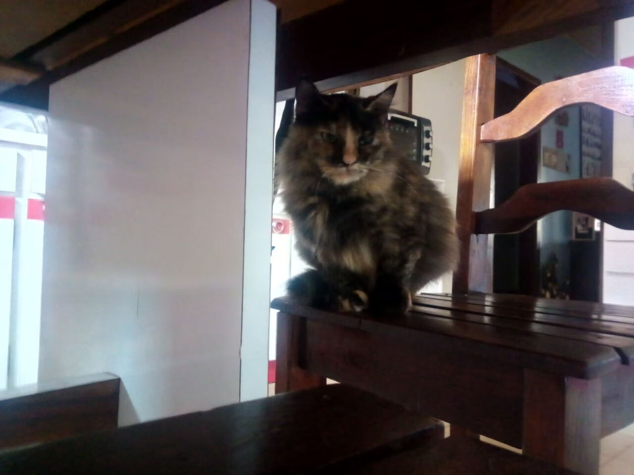 切尔西球星在国际米兰有望与曼联重聚，切尔西球星在国际米兰有望与曼联重聚吗