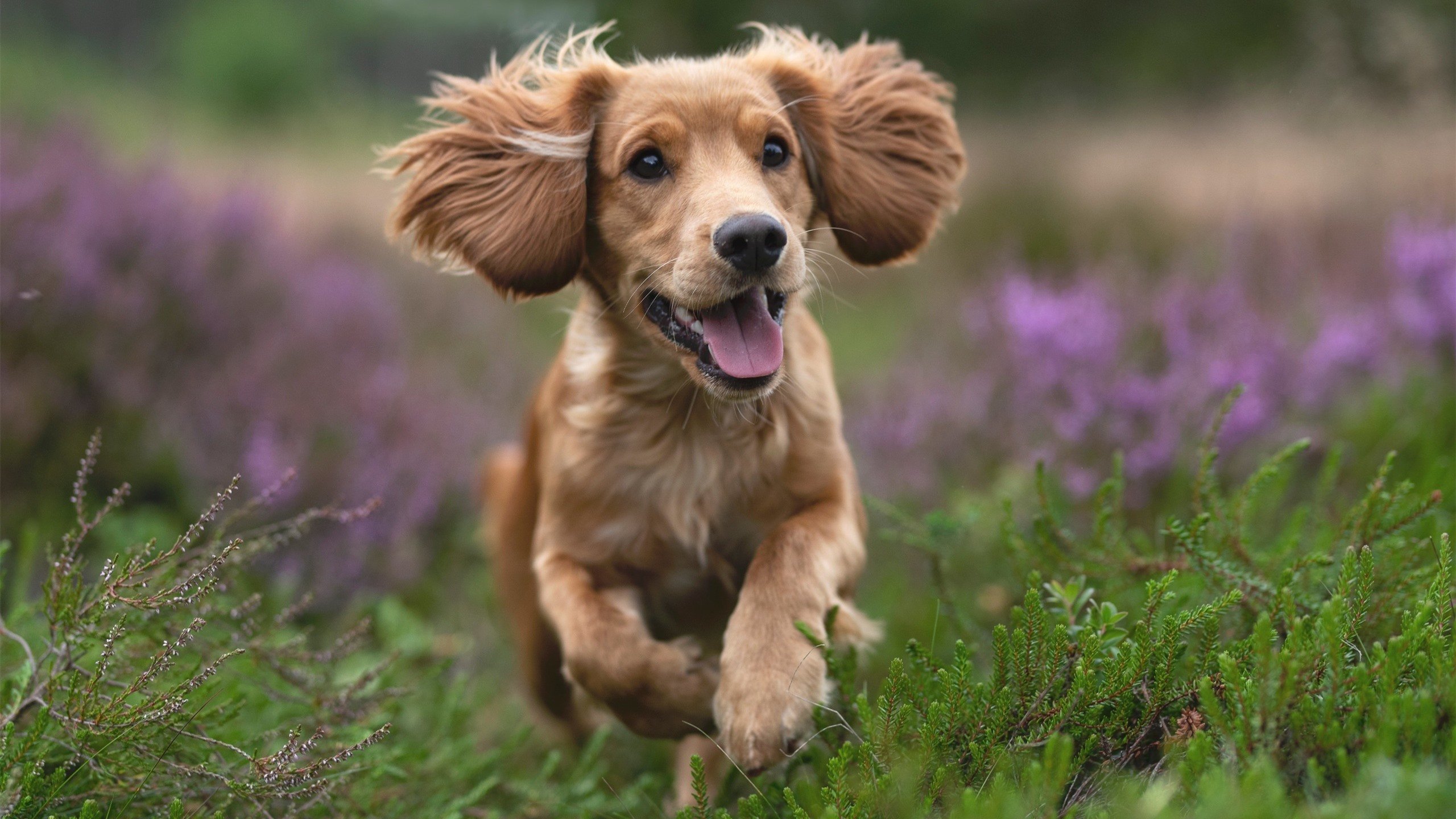 Gen.G战队训练营强化备战，战队训练基地
