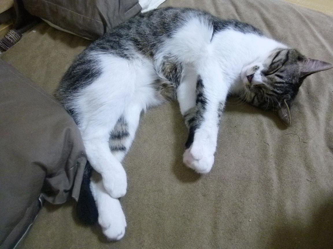 爱游戏app下载-法国战胜英格兰队，挺进欧国盃四强，欧洲杯法国队vs英格兰队