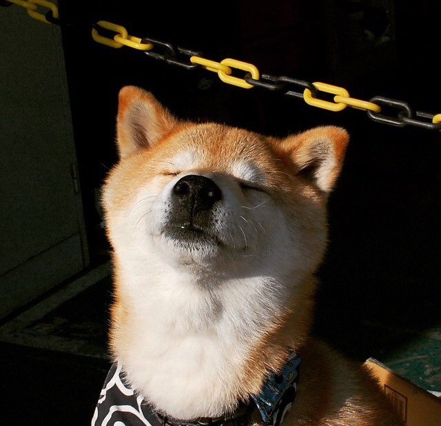 爱游戏官方网站-独行侠队年轻球员快速成长，独行侠队年轻球员快速成长