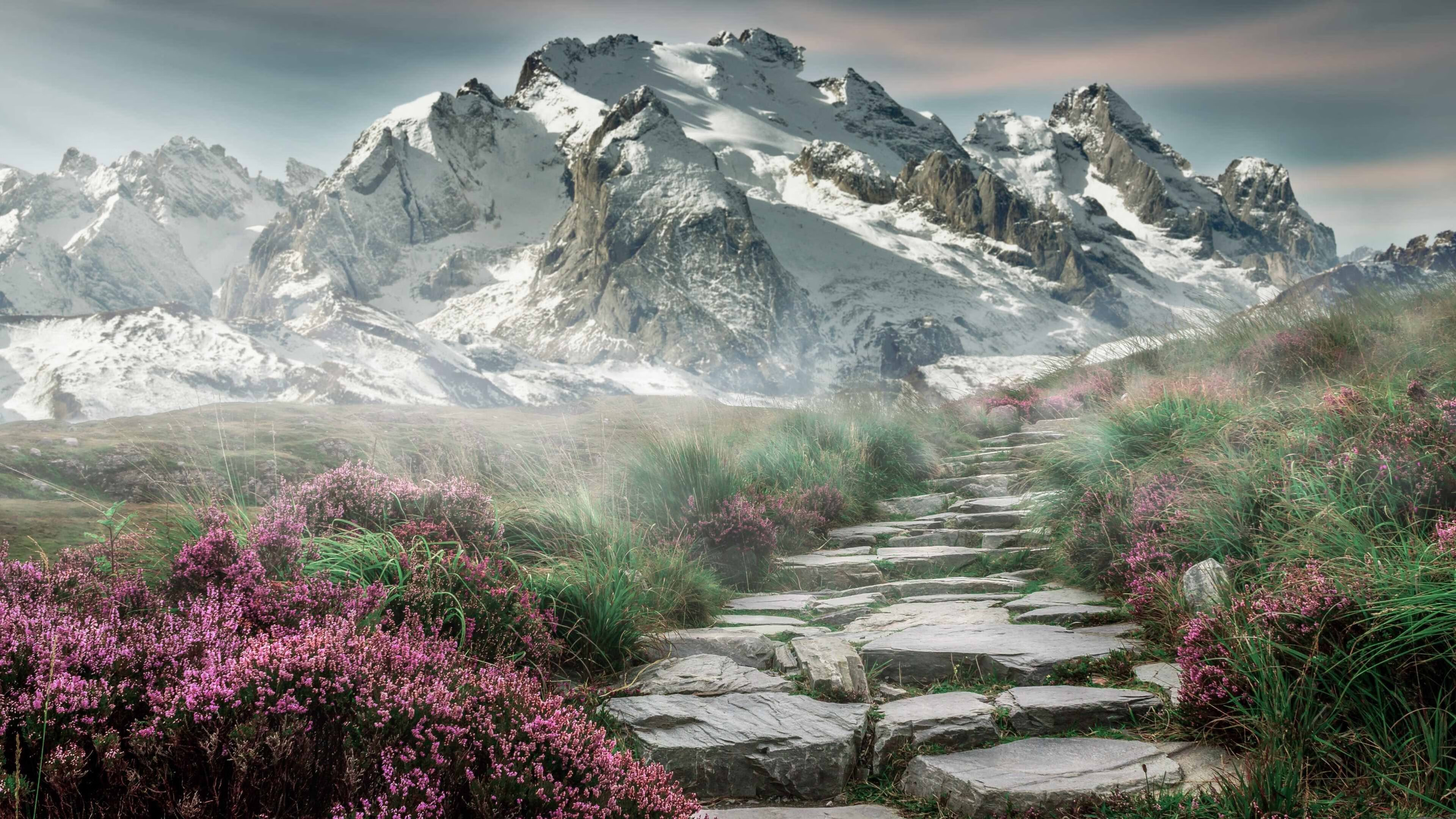 AYX SPORTS-冰面带球狂奔60米，伊朗10号球员一战封神，伊朗队10号