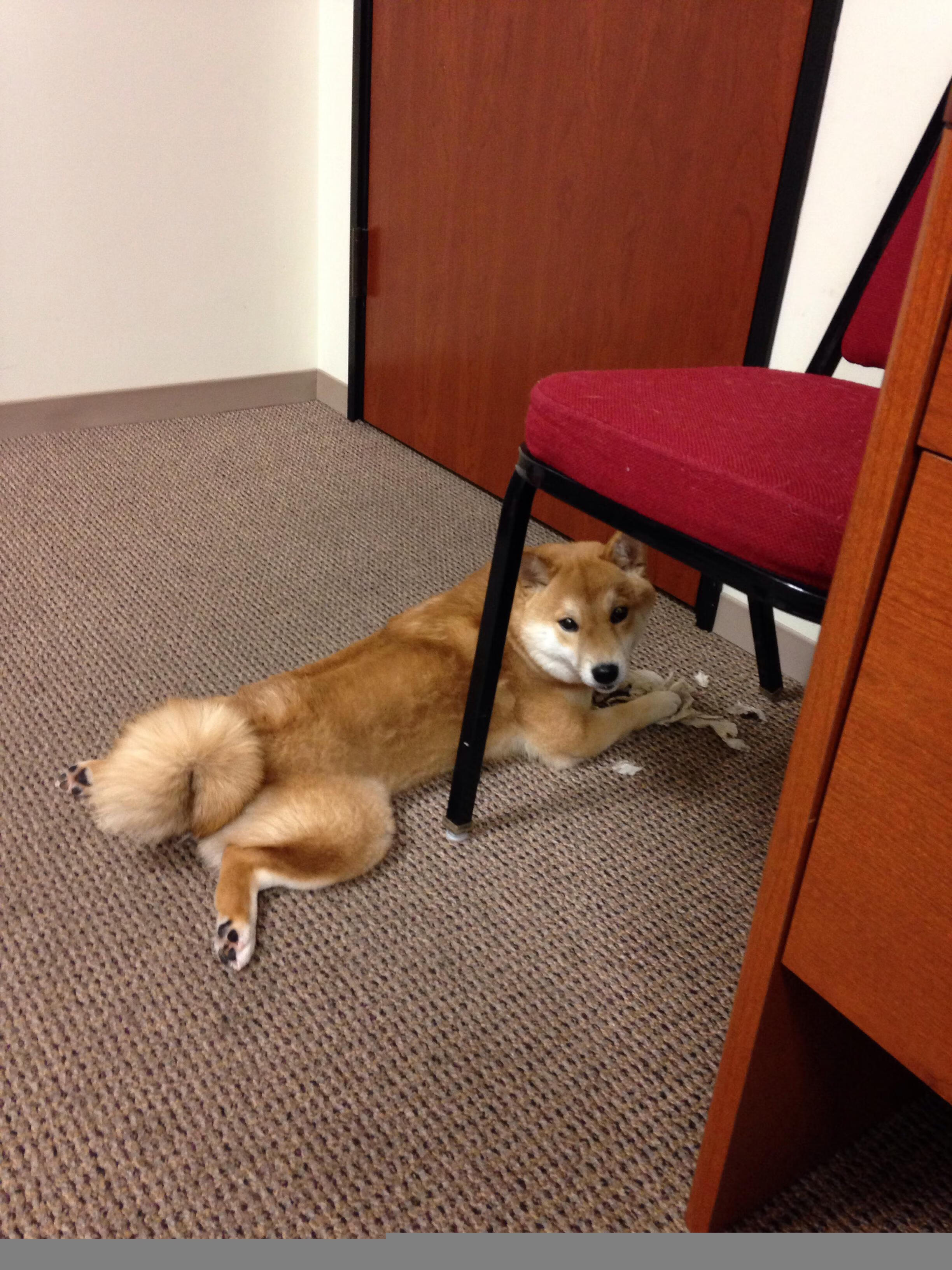 尤文图斯在意甲联赛中排名第四，成功晋级欧冠。，尤文图斯意甲成绩