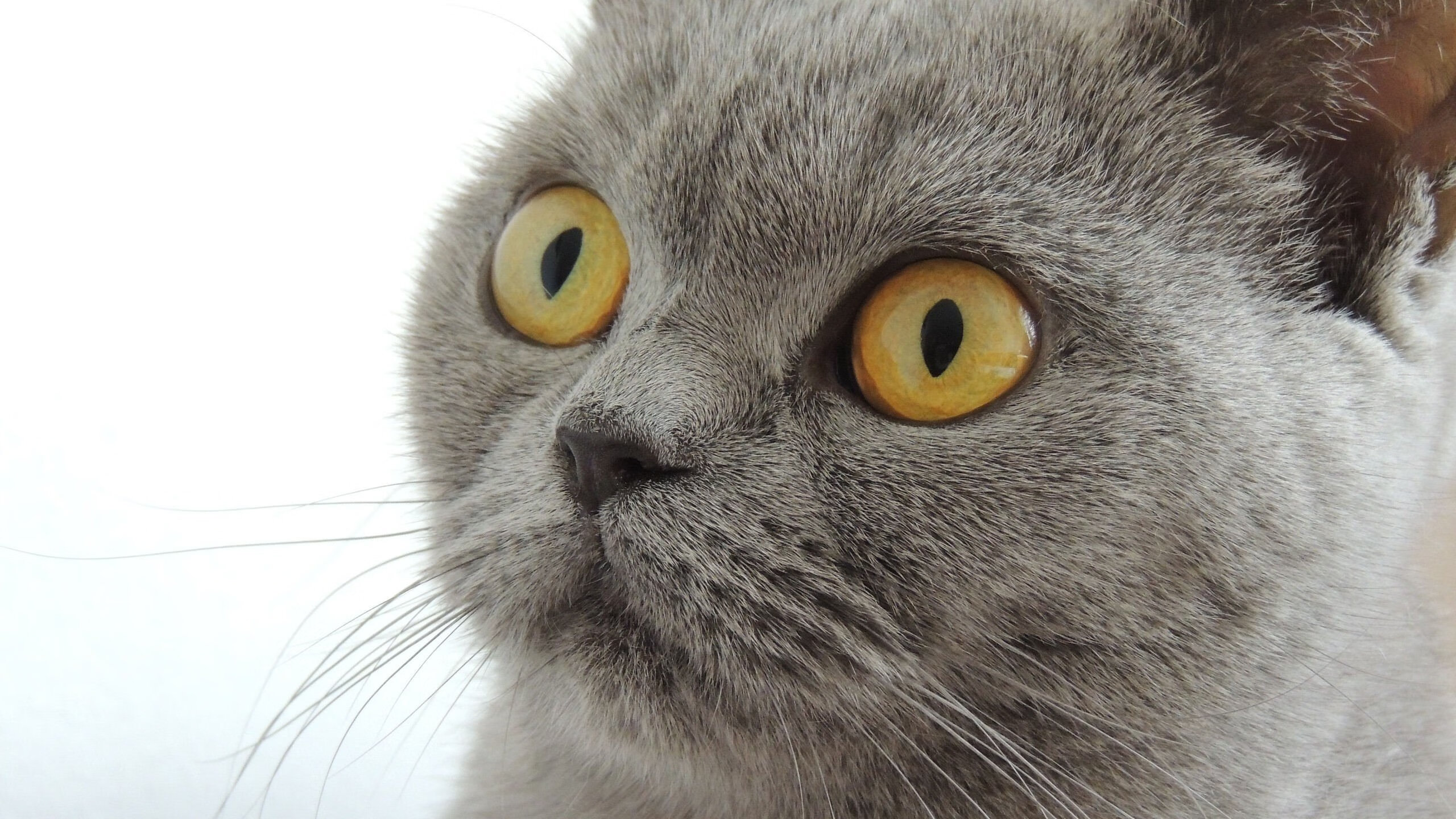 新闻中心调整管理体系，新闻中心调整管理体系方案