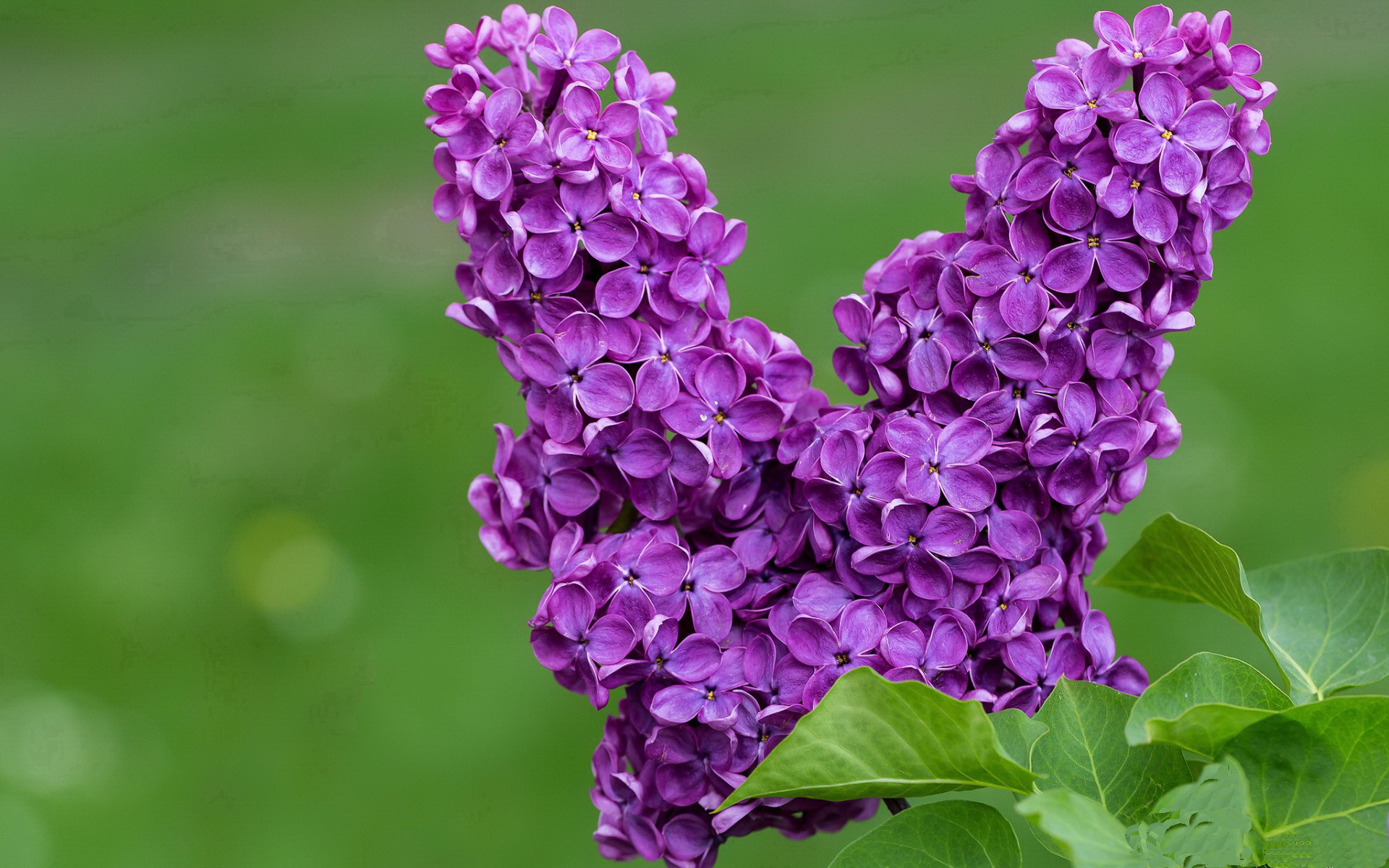 中国三人女篮战术配合日趋成熟,中国三人组女篮