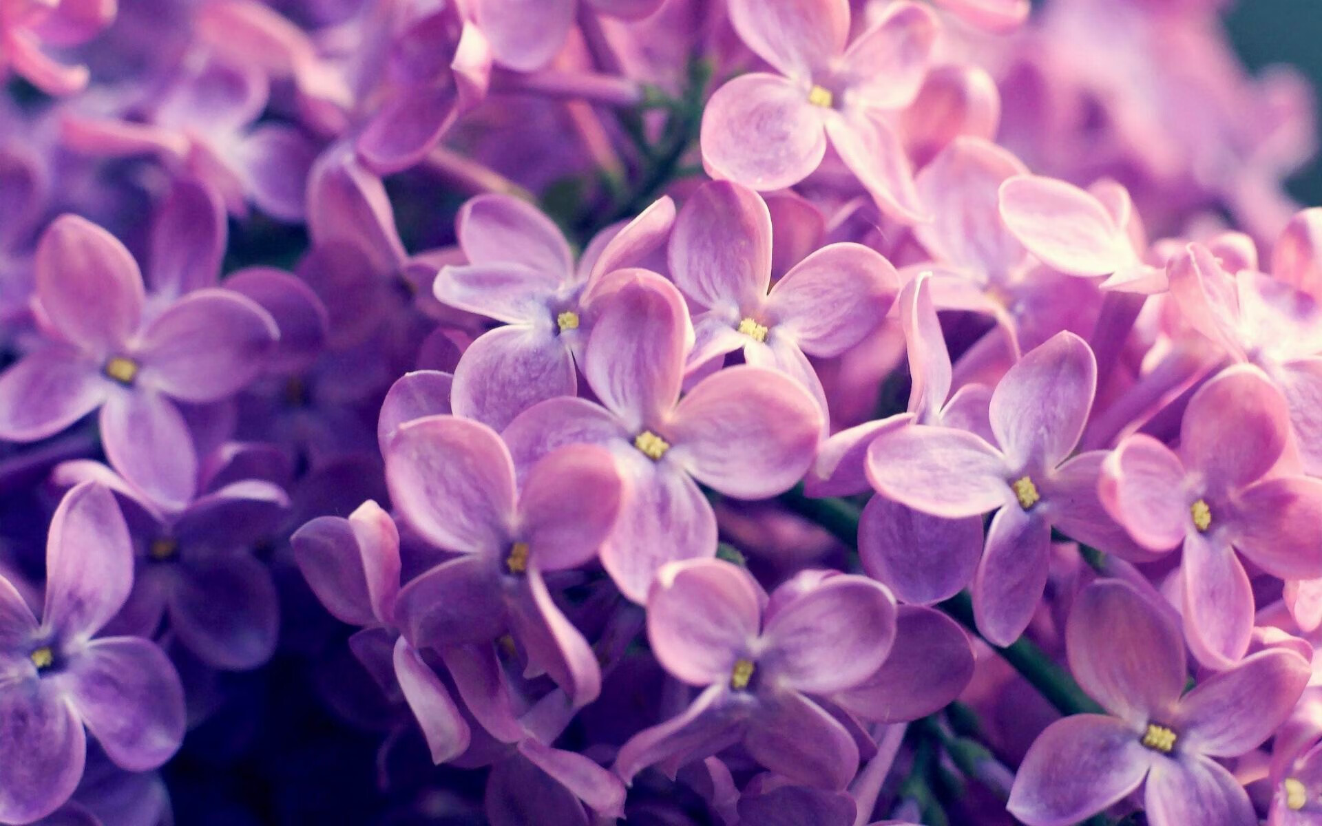 五大联赛本土与外援阵容比例变化对打法塑造作用，五大联赛允许几名外援