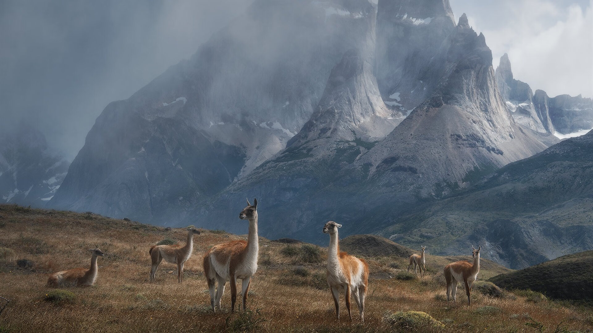 是否该重新重视传统控卫角色,传统控卫和新控卫区别