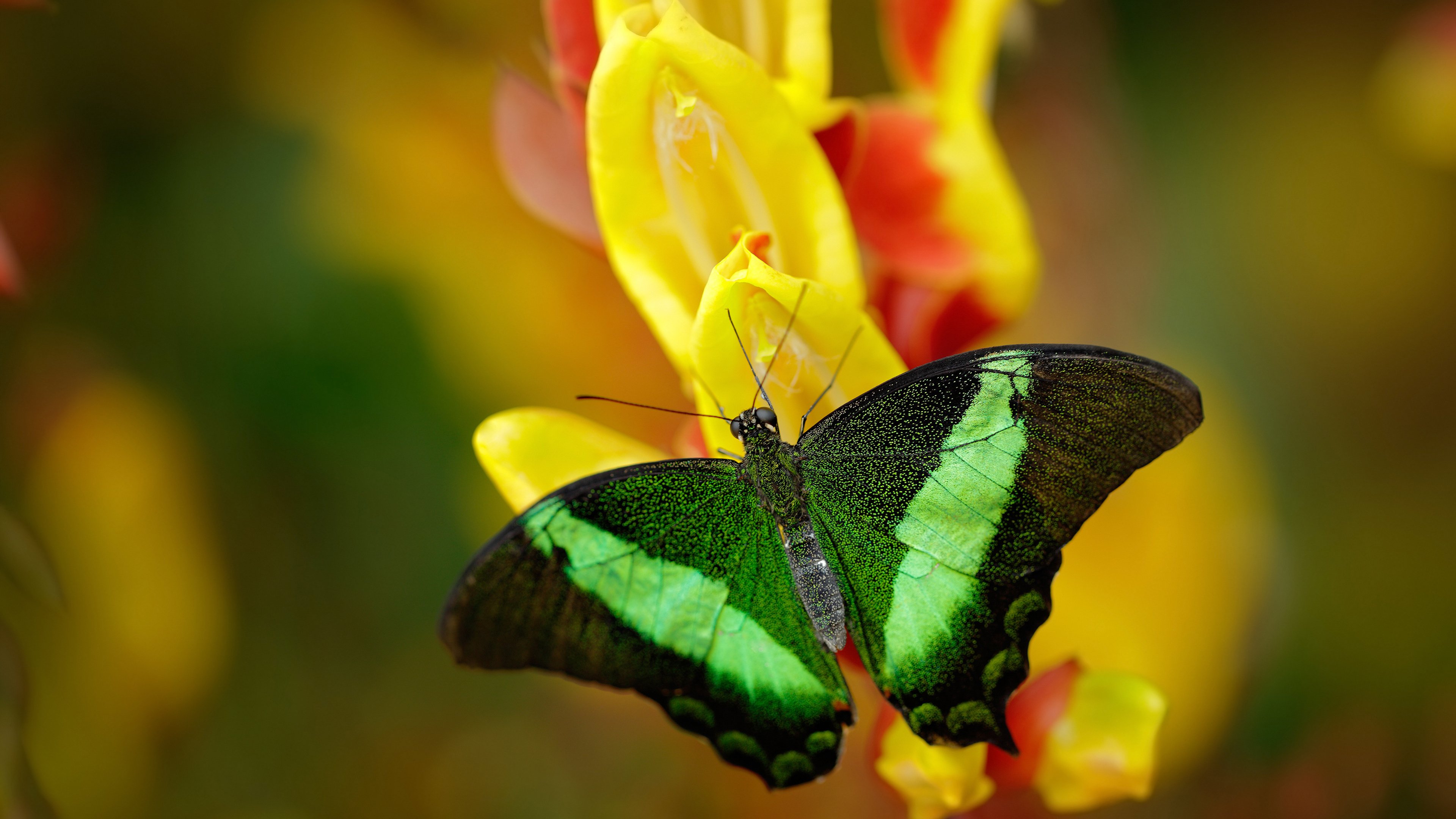 普拉提课程多样化,满足不同人群需求,普拉提课程内容