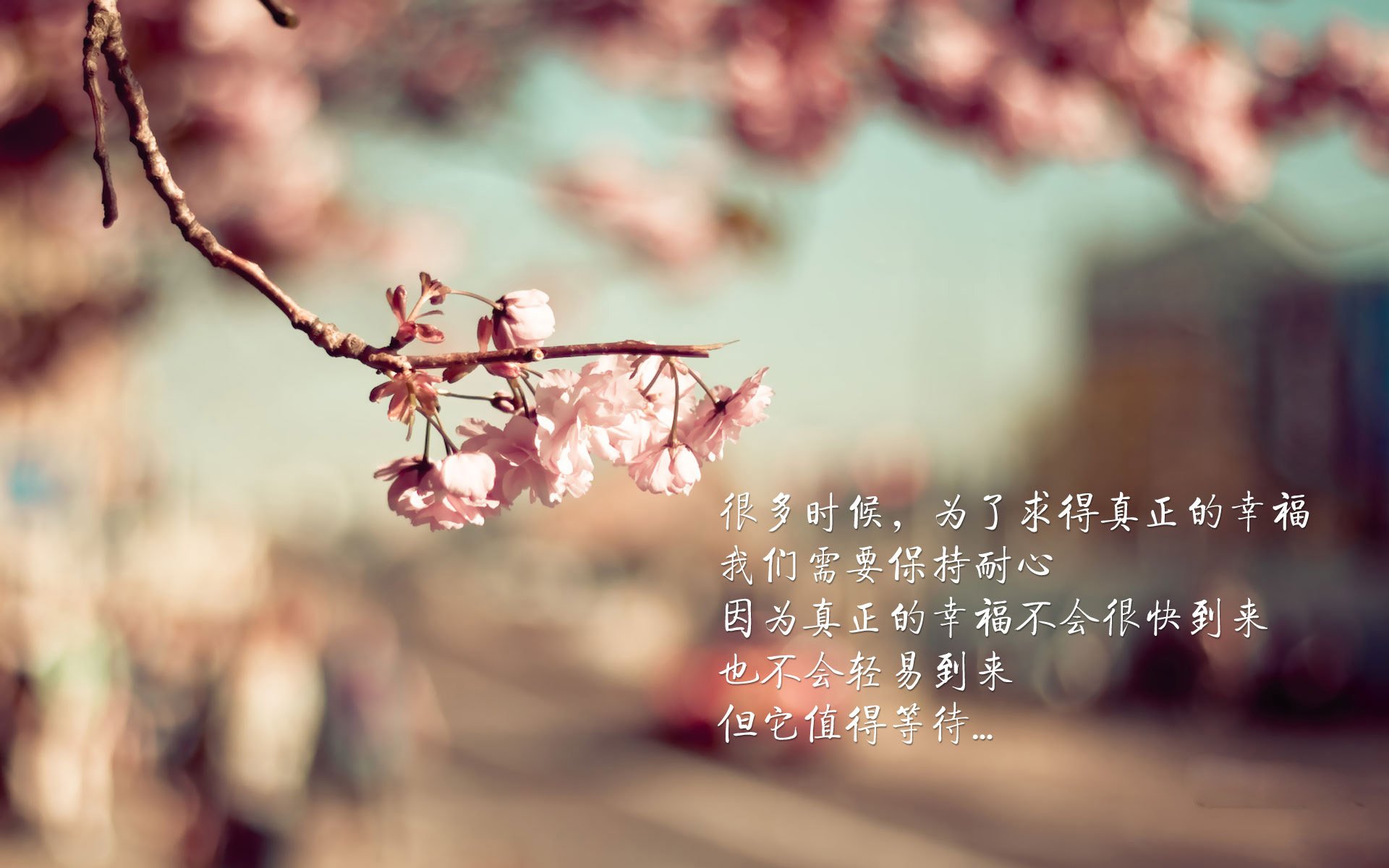 中国篮球教练员战术创新案例及实战应用研究，2021中国篮球教练员培训