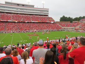 爱游戏官网-中国足球国家队集训期间注重团队协作培养，中国足协公布的国足集训名单