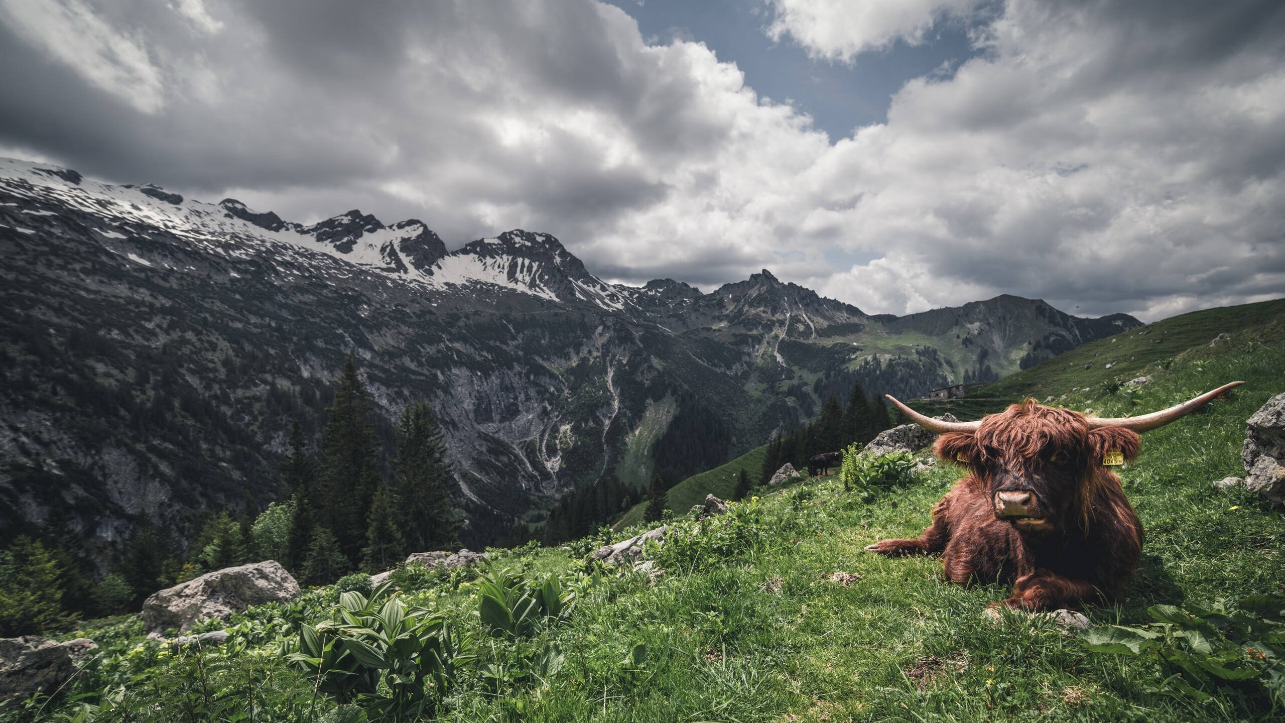 篮球运动员训练负荷智能监测与疲劳恢复综合分析,篮球课运动负荷
