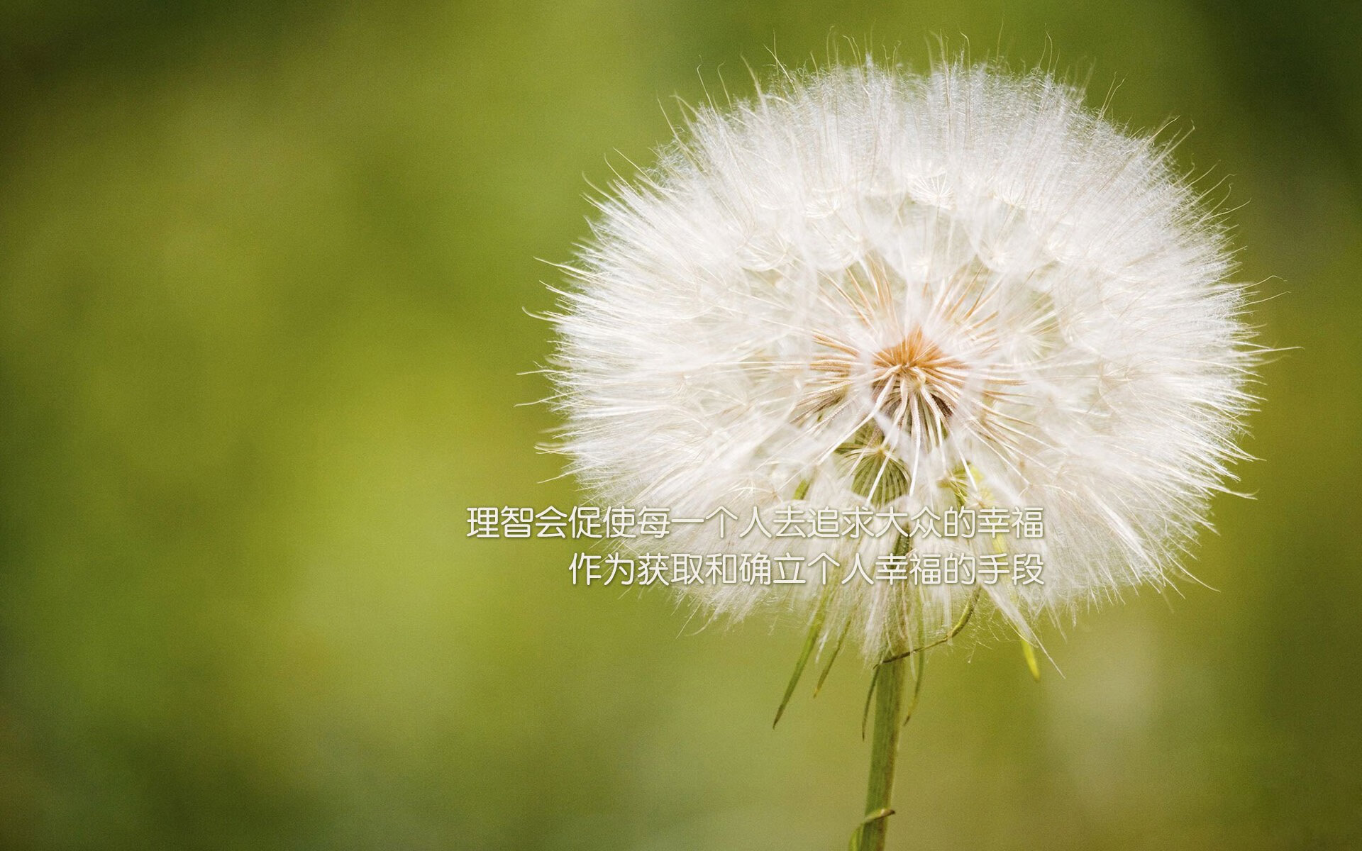 英超运动医学对高强度比赛疲劳恢复的干预效果，英超的身体对抗