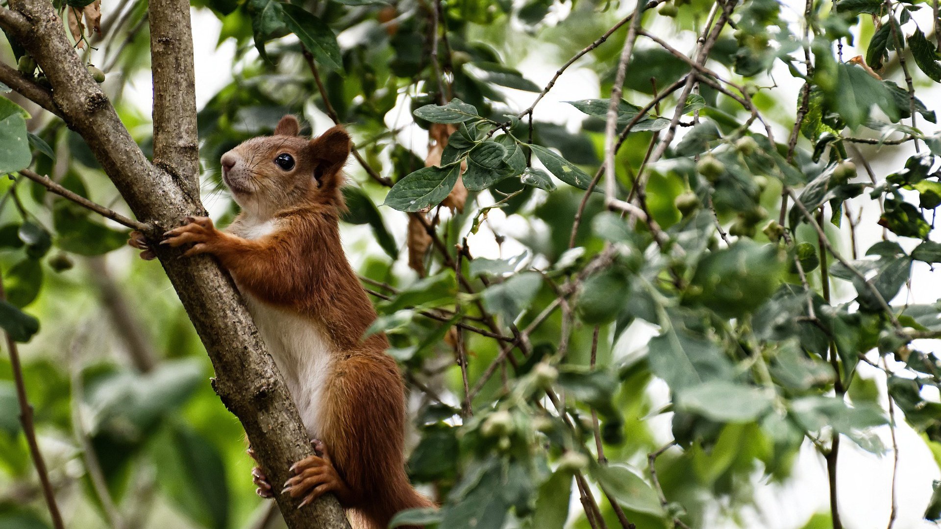“短柄墙球:你不仅要快,还要聪明!高新区全民健身馆揭开比赛背后的战术秘密”