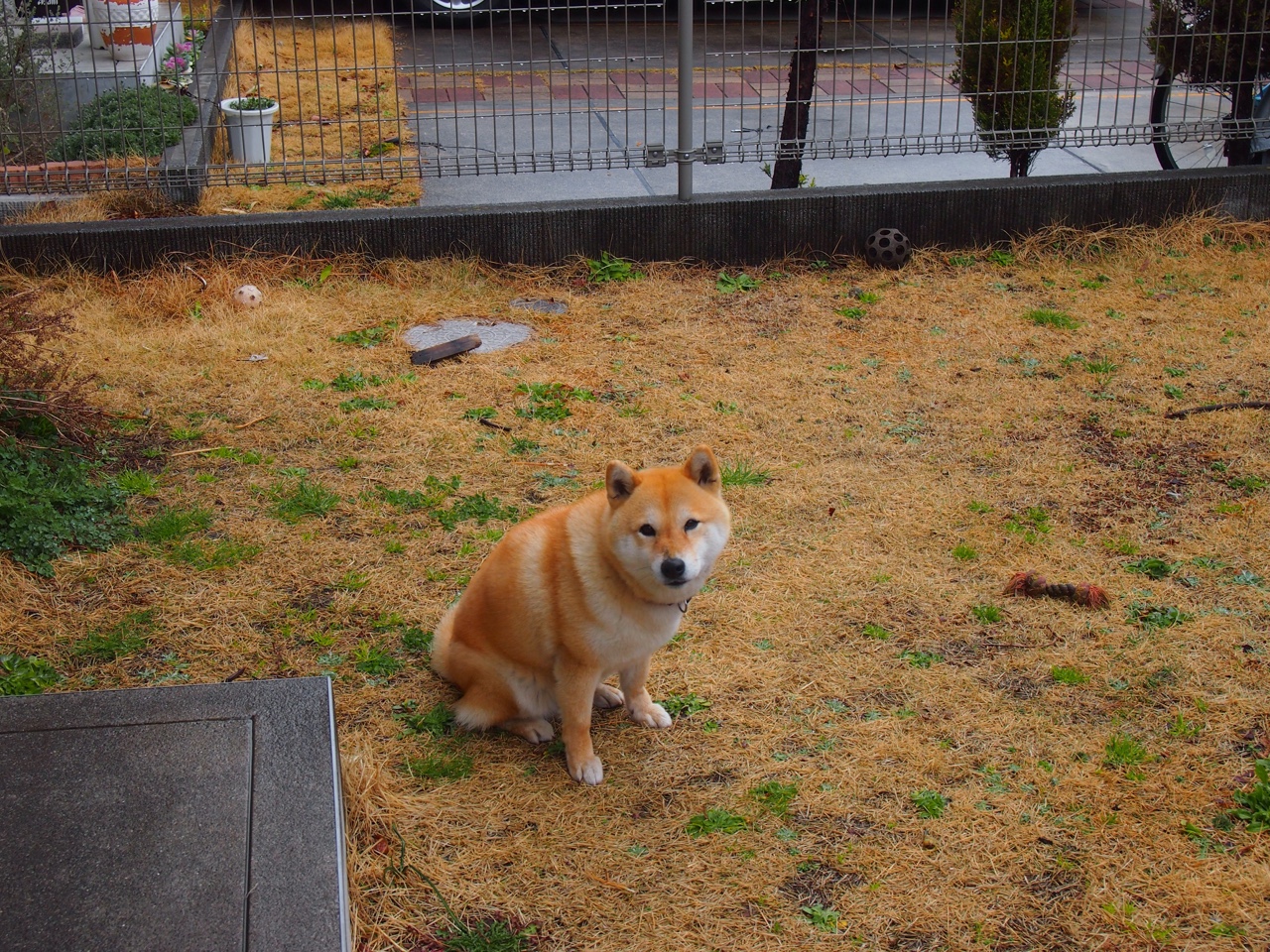 爱游戏登录入口-中国男篮多点开花 战术体系初显成效，中国男篮多打少