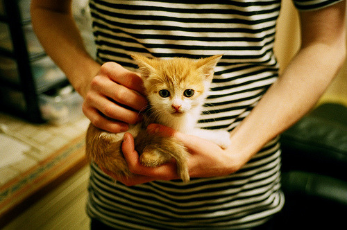 爱游戏app-中国男篮全队攻防配合日益默契，聊聊中国男篮