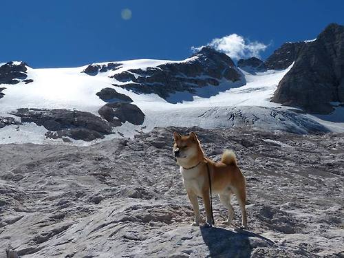 体育科技展览展示AI辅助训练成果，体育学科技能展示