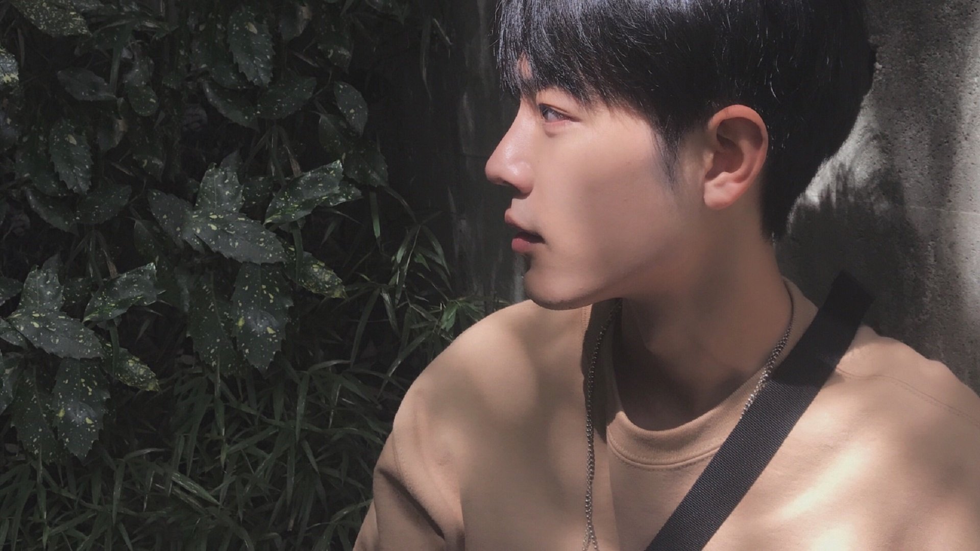 呼吸节奏与心率数据同步分析，呼吸频率、节律变化的临床意义有哪些